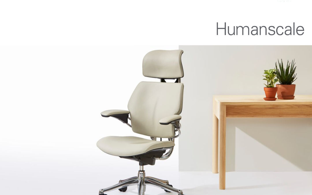 Best Ergonomic Office Chairs in Chennai for Comfort and Productivity