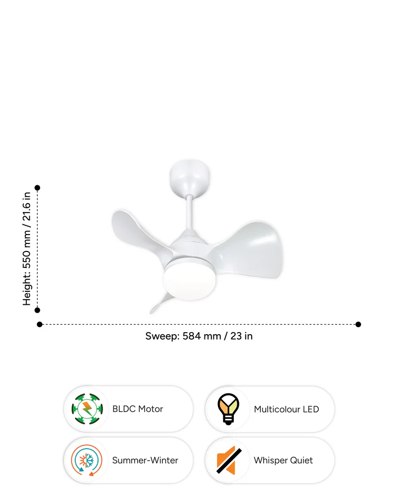 Mini White - Image 4