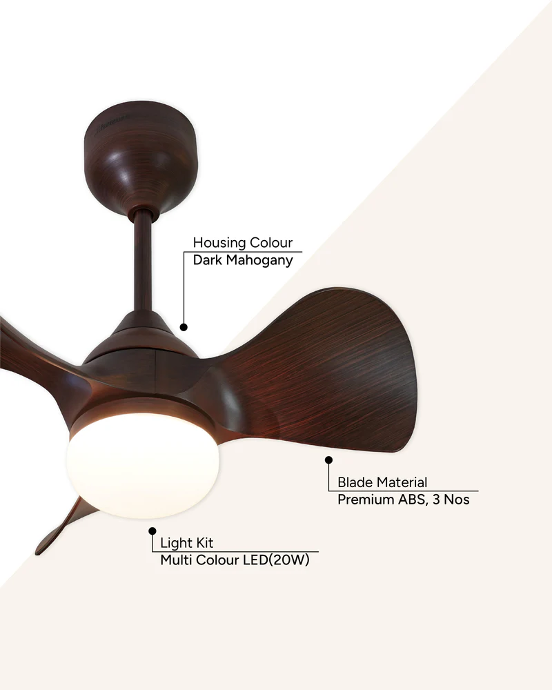 Mini Brown - Image 3