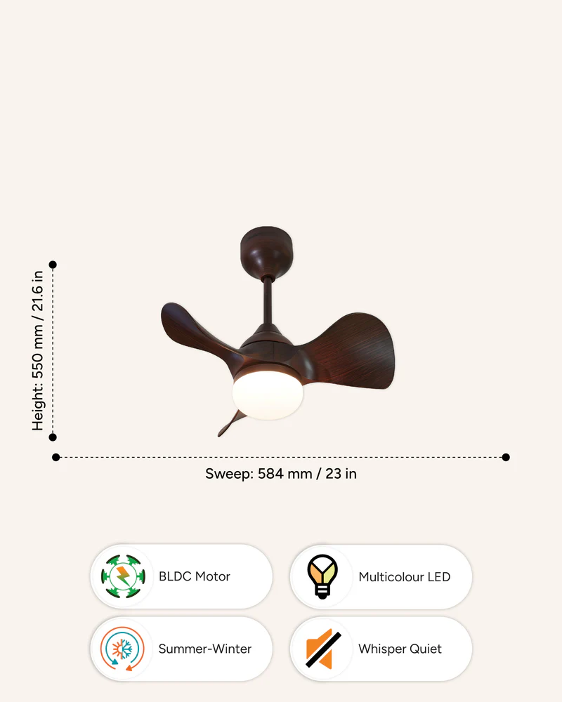 Mini Brown - Image 4