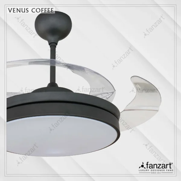 Venus Coffee - Image 2