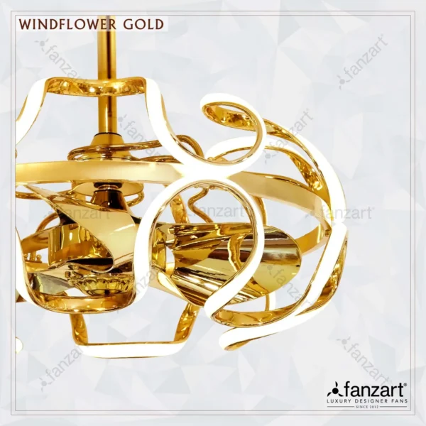 Windflower Gold - Image 2