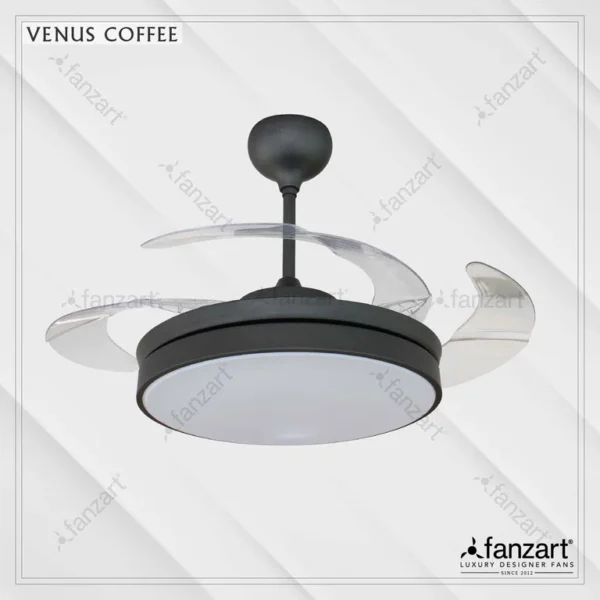 Venus Coffee - Image 4