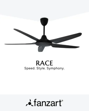 Race Black (DC)