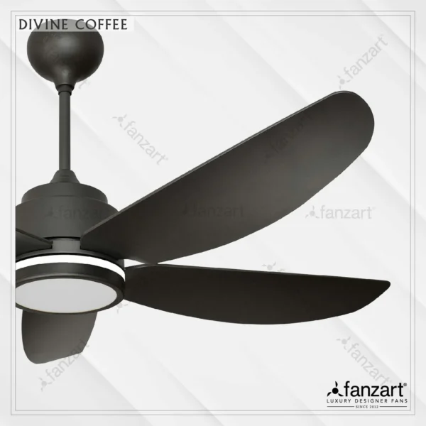 Divine - Image 2