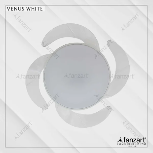 Venus White - Image 3