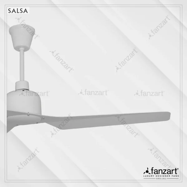 Salsa - Image 2