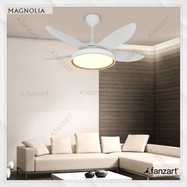 Magnolia