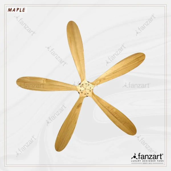 Maple - Image 3