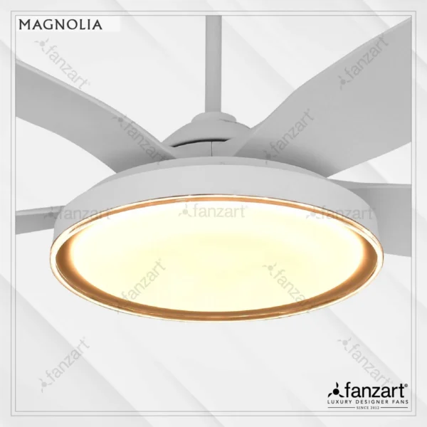 Magnolia - Image 3
