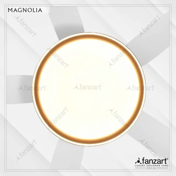 Magnolia - Image 4
