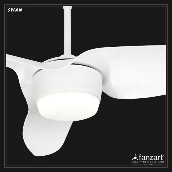 Swan - Image 2