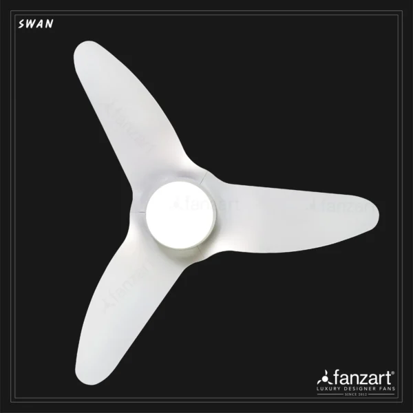 Swan - Image 3