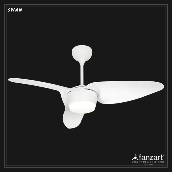 Swan - Image 4