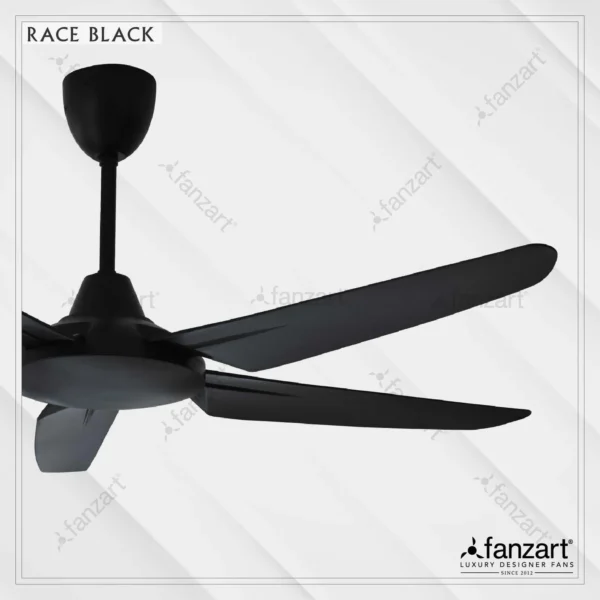 Race Black (DC) - Image 2