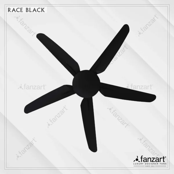 Race Black (DC) - Image 3