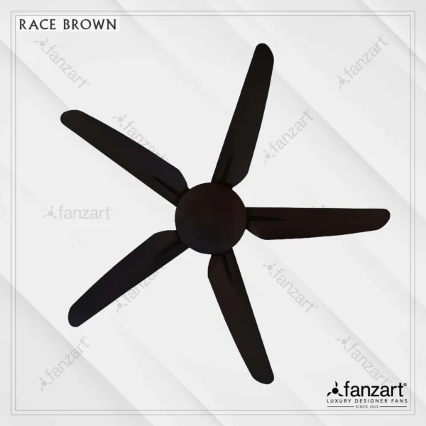 Race Brown (DC) - Image 3