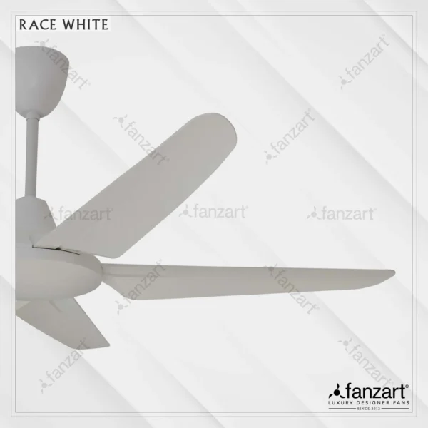 Race White (DC) - Image 2