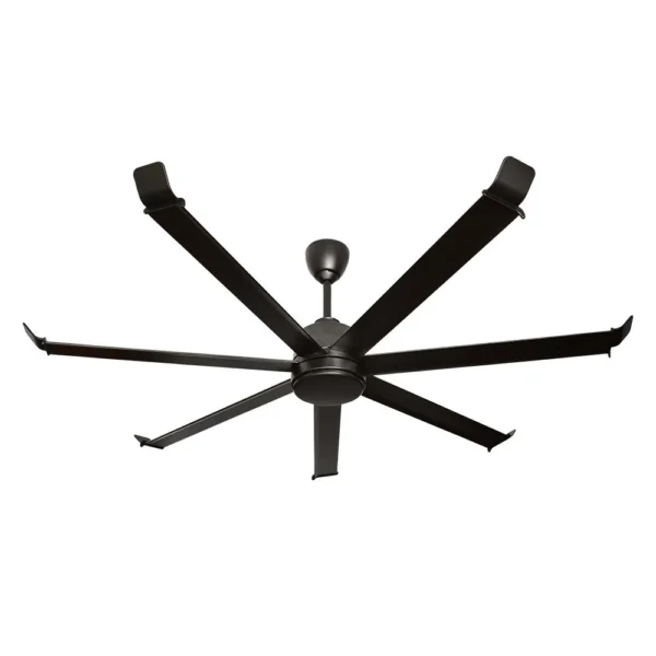 Grand Master Black – 60″ - Image 4