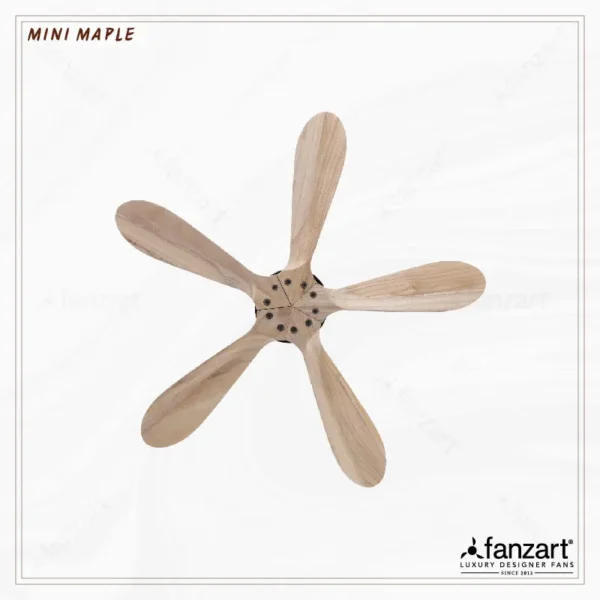 Mini Maple - Image 3