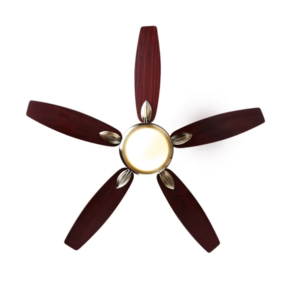 Elegance - Image 3