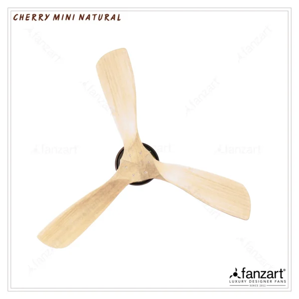 Mini Cherry Natural - Image 3