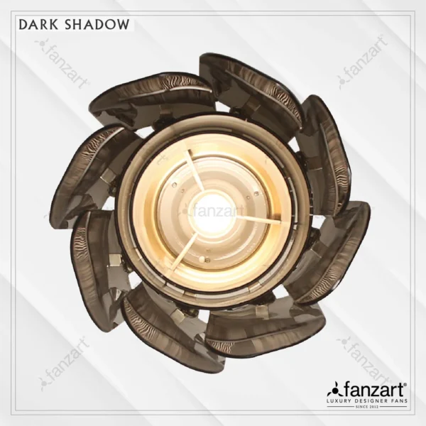 Shadow - Image 2