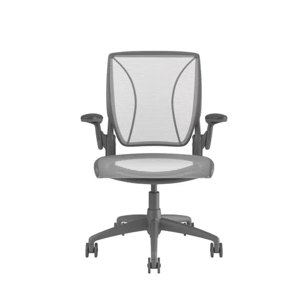 Diffrient World Chair: Grey Frame, Mesh Backrest and Seating