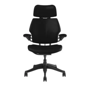 Freedom Headrest Chair: Graphite Frame, Ticino Leather