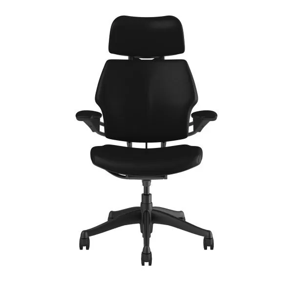 Freedom Headrest Chair: Graphite Frame, Ticino Leather