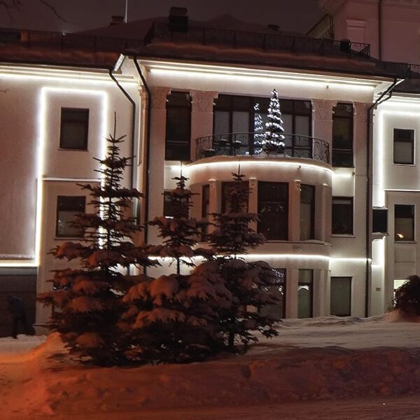 Flexion Led Ac Rope - Image 2