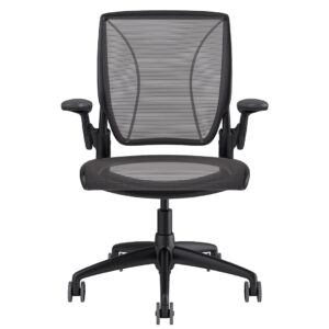 Diffrient World Chair: Black Frame, Mesh Backrest and Seating
