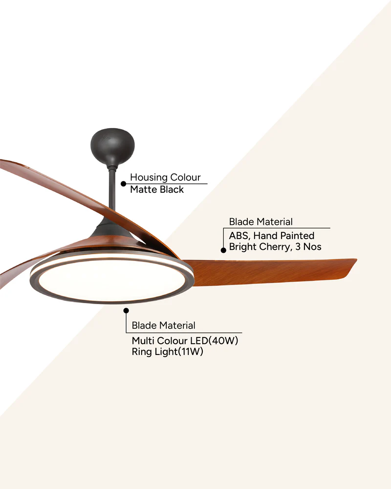 Jive (Coffee Brown) - Image 3