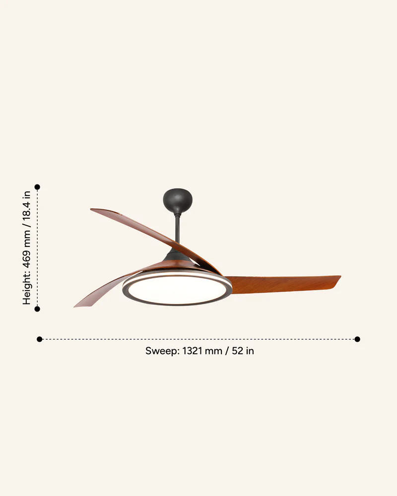 Jive (Coffee Brown) - Image 4